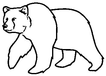 Image of a bear line drawing