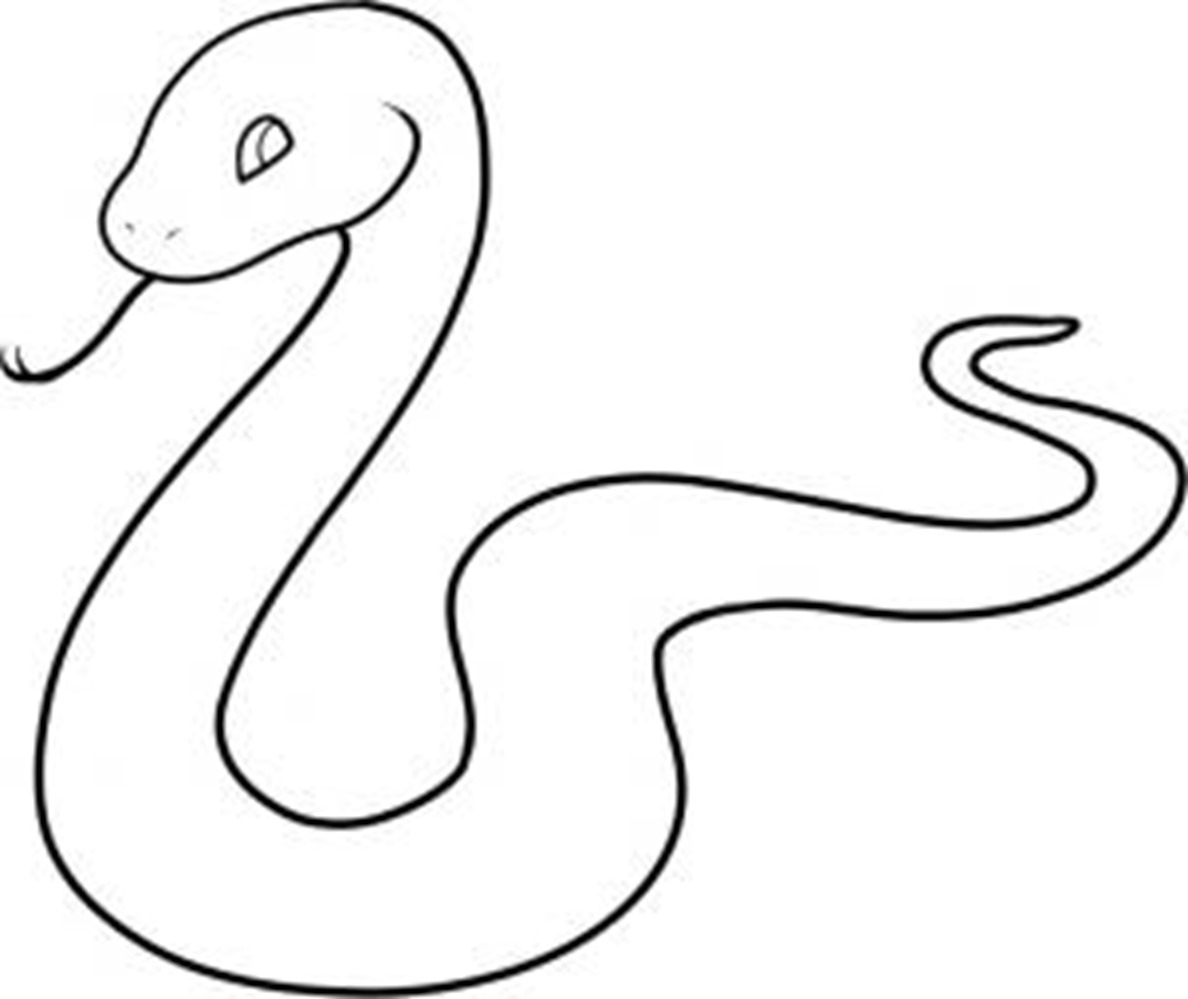 Image of a snake line drawing
